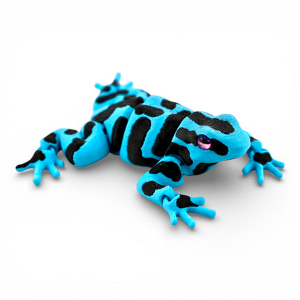 3D Printed Poison Dart Frog with Realistic Glass Eyes – 3.5 Inches Long