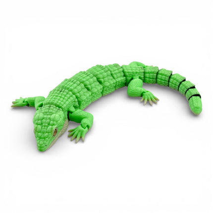 3D Printed Mexican Alligator Lizard with Realistic Glass Eyes – Articulated Reptile Model