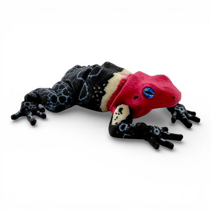 3D Printed Poison Dart Frog with Realistic Glass Eyes – 3.5 Inches Long