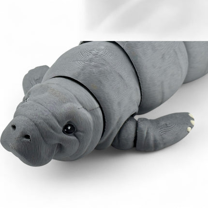 3D Printed Manatee