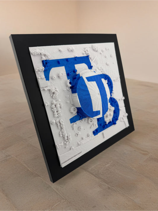 Tampa Bay Rays - Framed Topographical Map Art of Tropicana Field (Embossed Logo)