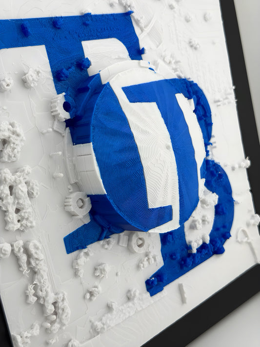 Tampa Bay Rays - Framed Topographical Map Art of Tropicana Field (Embossed Logo)