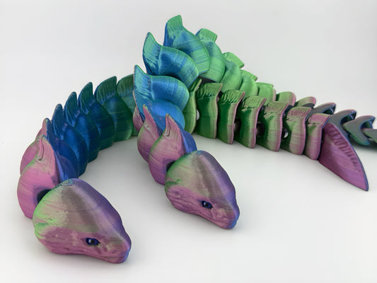 Moray Eels