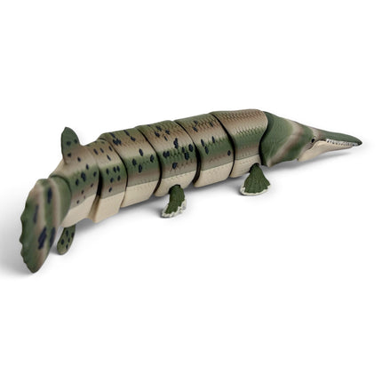 Close-up of Alligator Gar Camo Morph glass eye and texture detail