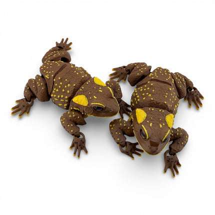 3D Printed Brown American Toad – Fully Articulated Flexi (5 Inches Long)