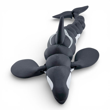 3D Printed Articulated Killer Whale – 12 Inches Long