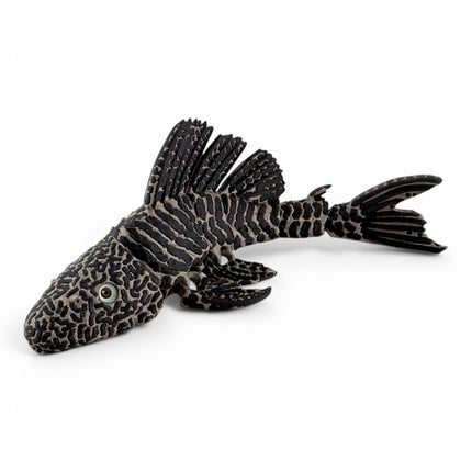 Flexi Pleco Fish – Articulated 3D Printed Model (Bronze & Black)