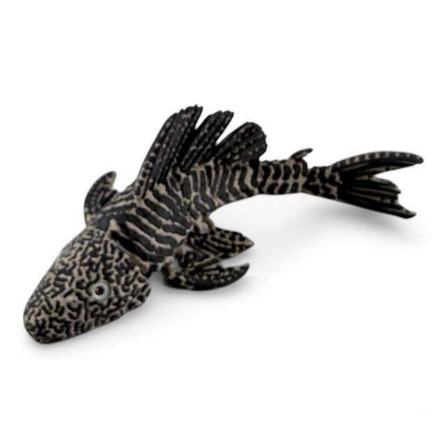 Flexi pleco fish figurine, bronze and black 3D printed with glass eyes