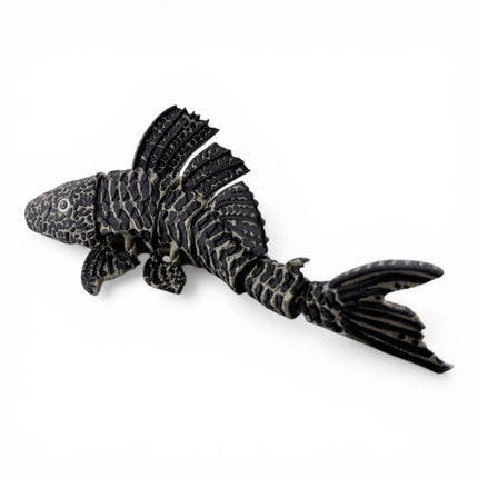 Flexi Pleco Fish – Articulated 3D Printed Model (Bronze & Black)