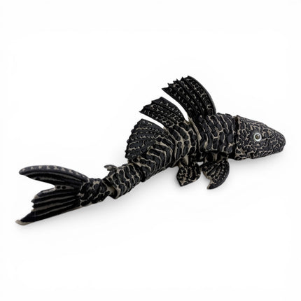 Flexi Pleco Fish – Articulated 3D Printed Model (Bronze & Black)