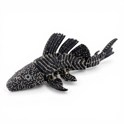 Flexi Pleco Fish – Articulated 3D Printed Model (Bronze & Black)
