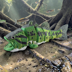 Collection image for: Realistic Fish with Glass Eye