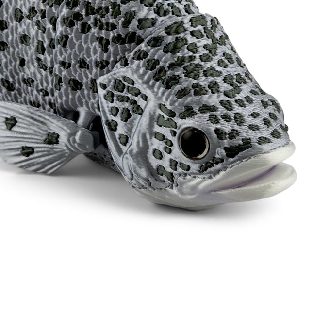 3D Printed Articulated Crappie (Silver with Green Markings)