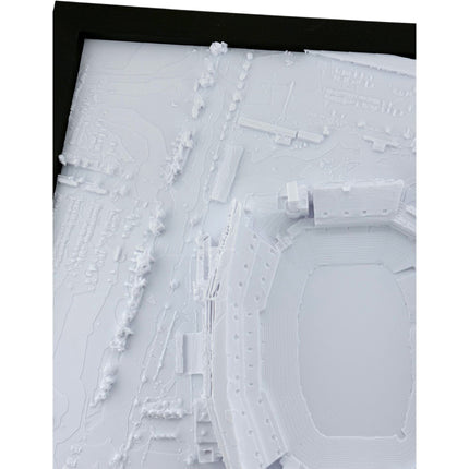 Philadelphia Eagles — Lincoln Financial Field 3D Topographical Stadium Wall Art | 12" × 12"