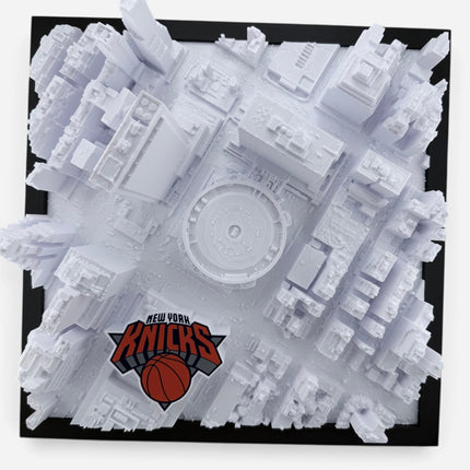 3D topographical map of Madison Square Garden, framed front view