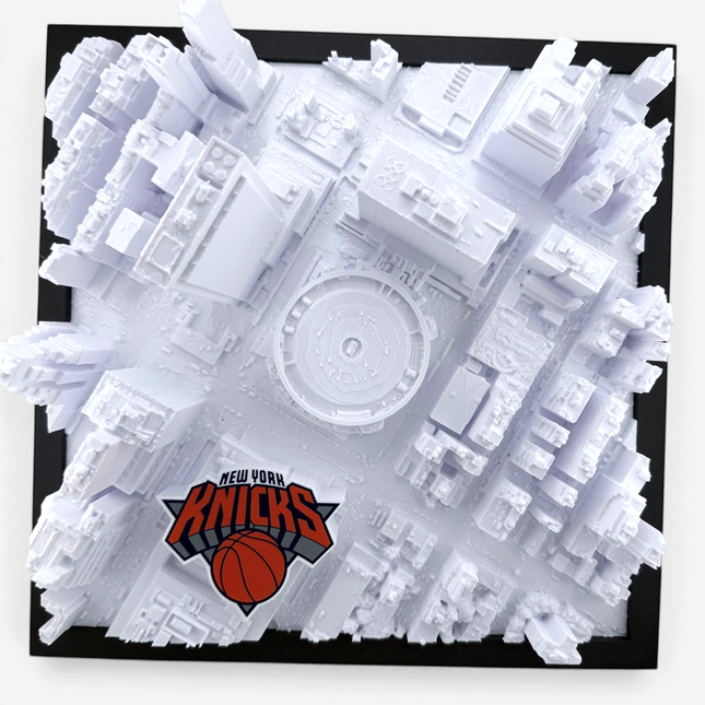 3D topographical map of Madison Square Garden, framed front view