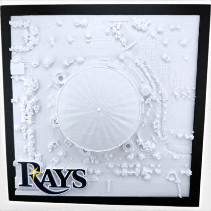 Tampa Bay Rays — Tropicana Field 3D Topographical Stadium Wall Art | 12" × 12"