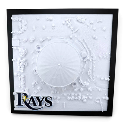 3D topographical map of Tropicana Field, framed front view