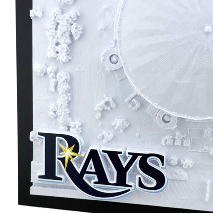 Tropicana Field 3D map in light natural wood frame