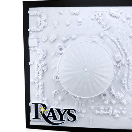 Tropicana Field 3D map frame corner detail