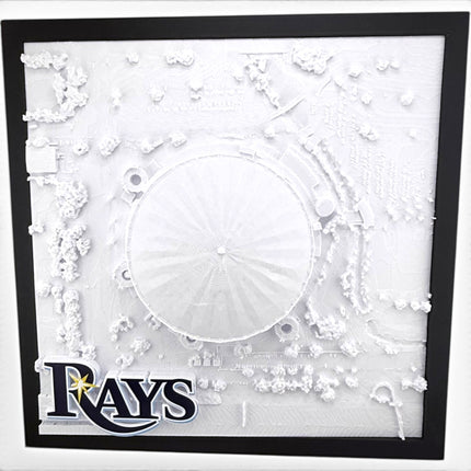 Tampa Bay Rays — Tropicana Field 3D Topographical Stadium Wall Art | 12" × 12"