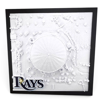 Tropicana Field 3D map full display shot