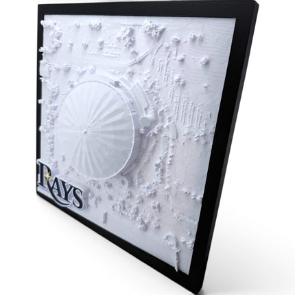 Tampa Bay Rays — Tropicana Field 3D Topographical Stadium Wall Art | 12" × 12"