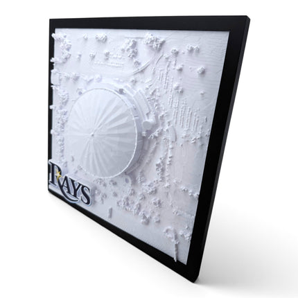 Tropicana Field 3D map close-up of frame texture