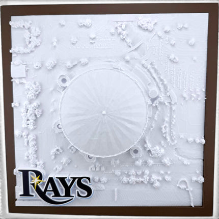 Tampa Bay Rays — Tropicana Field 3D Topographical Stadium Wall Art | 12" × 12"