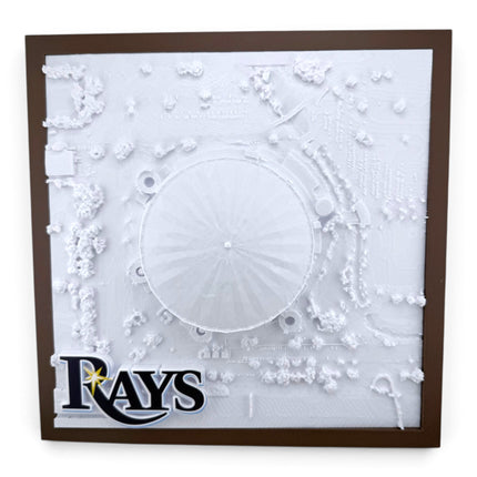 Tropicana Field 3D map close-up of raised relief detail