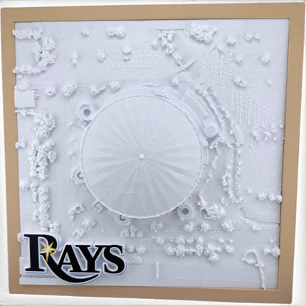 Tampa Bay Rays — Tropicana Field 3D Topographical Stadium Wall Art | 12" × 12"