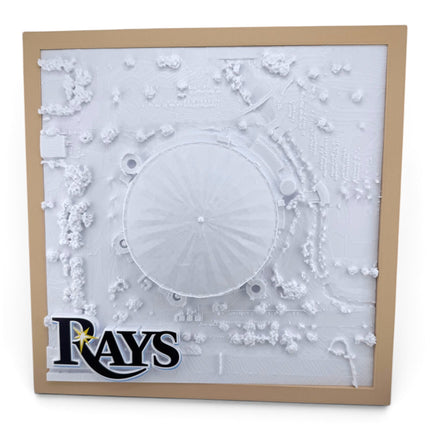 Tropicana Field 3D map in matte black frame