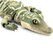 Reptiles with Glass Eyes