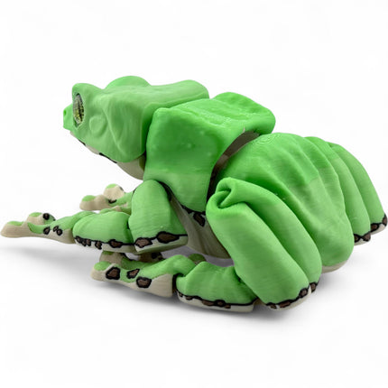 3D Printed Waxy Monkey Tree Frog – Realistic Amphibian Model with Glass Eyes