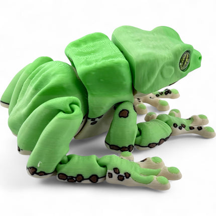 3D Printed Waxy Monkey Tree Frog – Realistic Amphibian Model with Glass Eyes