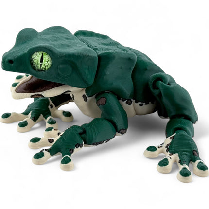 3D Printed Waxy Monkey Tree Frog – Realistic Amphibian Model with Glass Eyes