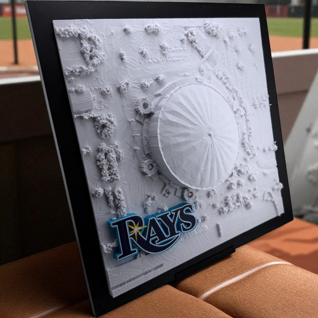 Tampa Bay Rays - Framed Topographical Map Art of Tropicana Field with logo