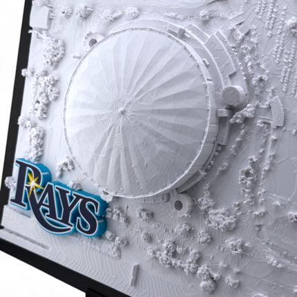 Tampa Bay Rays - Framed Topographical Map Art of Tropicana Field with logo