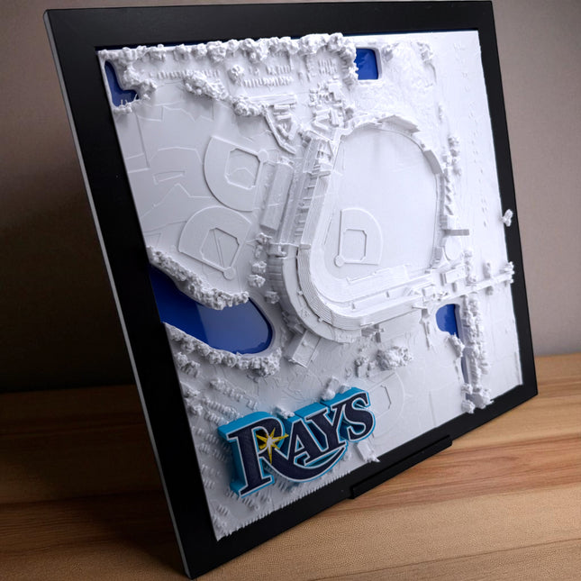 Tampa Bay Rays - Framed Topographical Map Art of Steinbrenner Field with logo