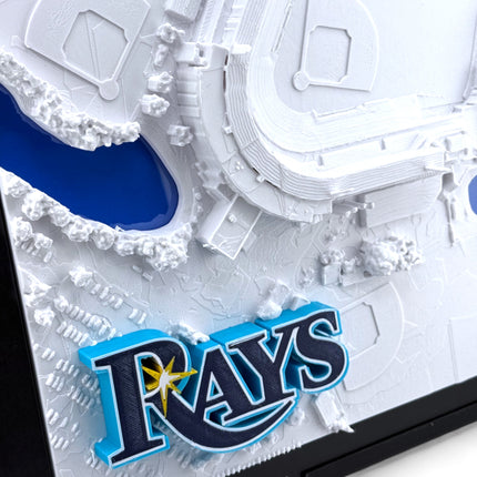 Tampa Bay Rays - Framed Topographical Map Art of Steinbrenner Field with logo