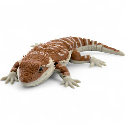3D Printed Bearded Dragon – Realistic Articulated Model with Glass Eyes