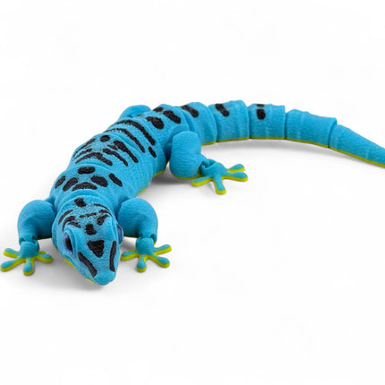 3D Printed Flexi Giant Day Gecko with Realistic Glass Eyes – Sky Blue with Full Body Black Markings
