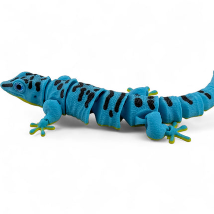 3D Printed Flexi Giant Day Gecko with Realistic Glass Eyes – Sky Blue with Full Body Black Markings