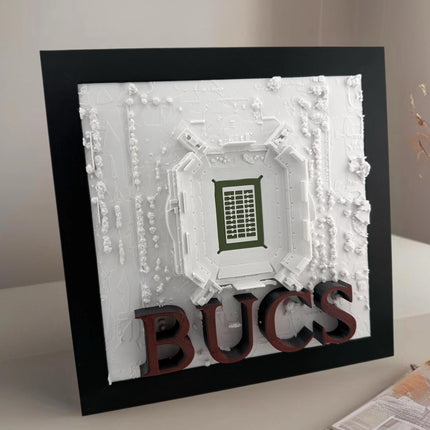 Tampa Bay Buccaneers Wall Decor - Raymond James Stadium Topographical Map Art - , NFL Fan Gift, Unique Sports Stadium Print