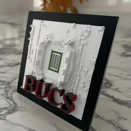 Tampa Bay Buccaneers Wall Decor - Raymond James Stadium Topographical Map Art - , NFL Fan Gift, Unique Sports Stadium Print