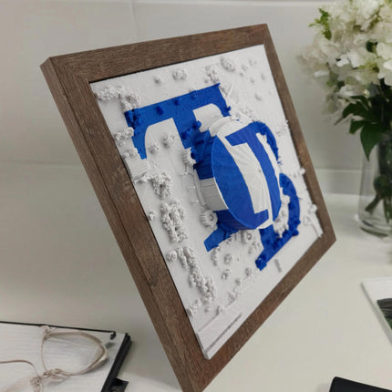 Tampa Bay Rays Tropicana Field Topographical Map Art Framed Wall Decor Embossed Logo Baseball Stadium Gift