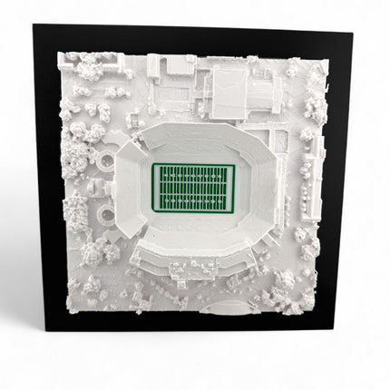 Florida Gators - Ben Griffin Stadium 3D Topographic Map Art