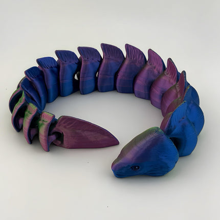 Moray Eels