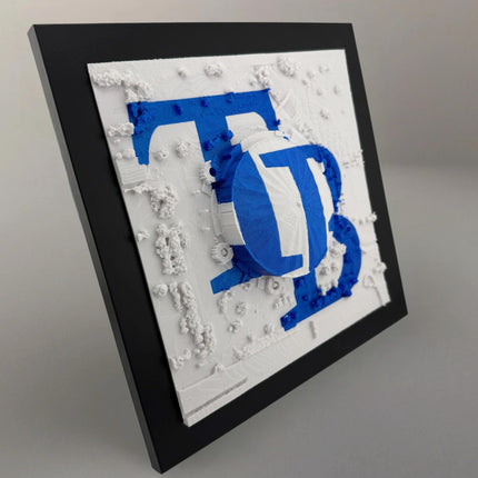 Tampa Bay Rays Tropicana Field Topographical Map Art Framed Wall Decor Embossed Logo Baseball Stadium Gift