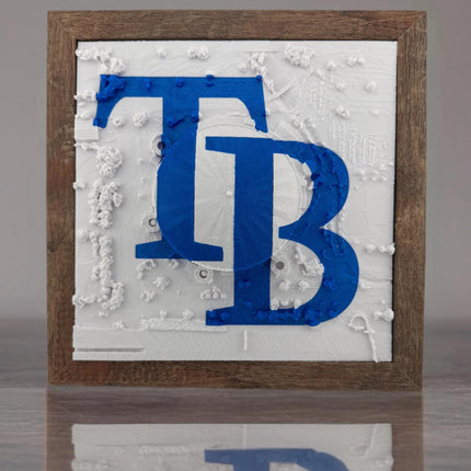 Tampa Bay Rays Tropicana Field Topographical Map Art Framed Wall Decor Embossed Logo Baseball Stadium Gift
